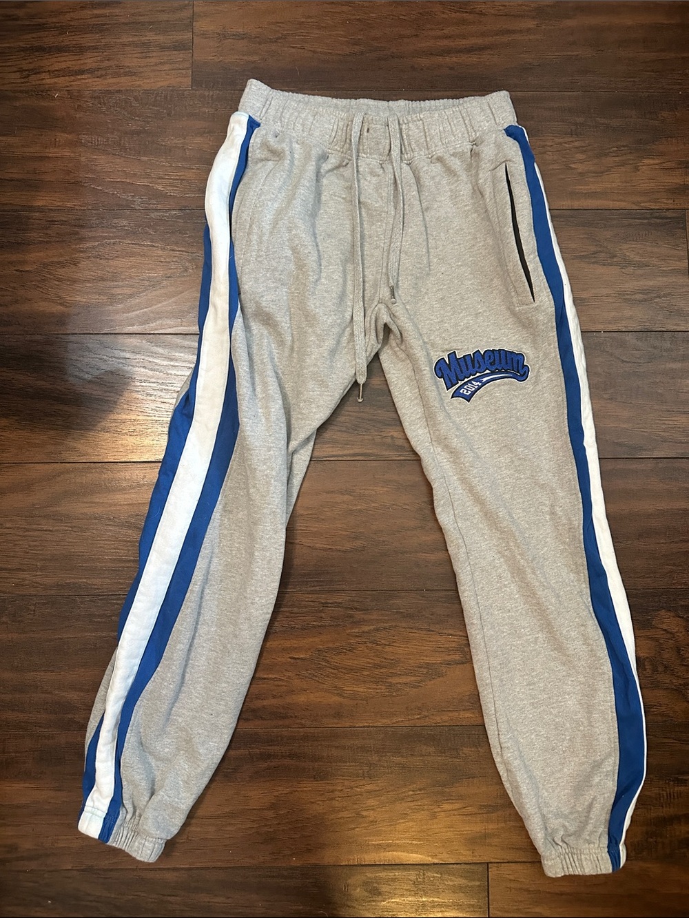 Muse Gray Joggers with Blue and White Side Stripes
